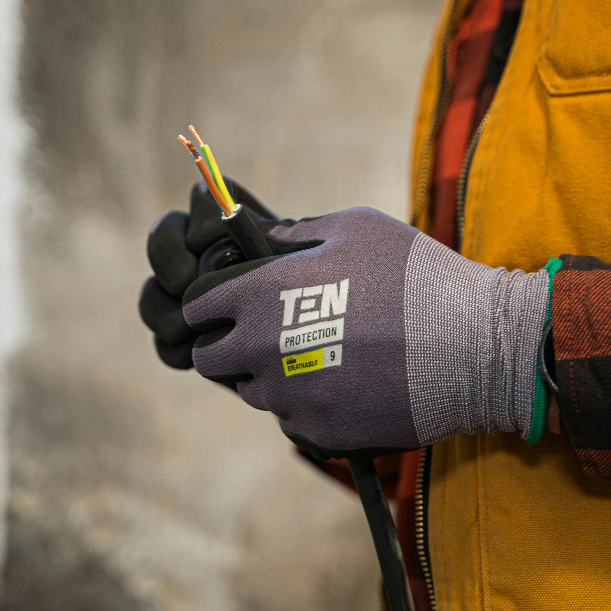 Rénovation lémanique