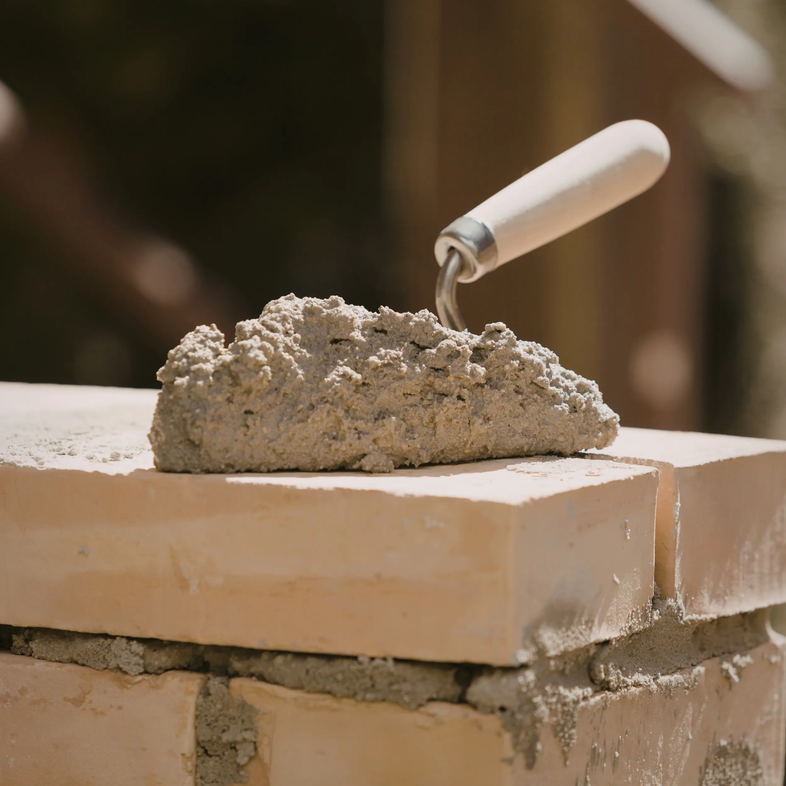 Rénovation lémanique