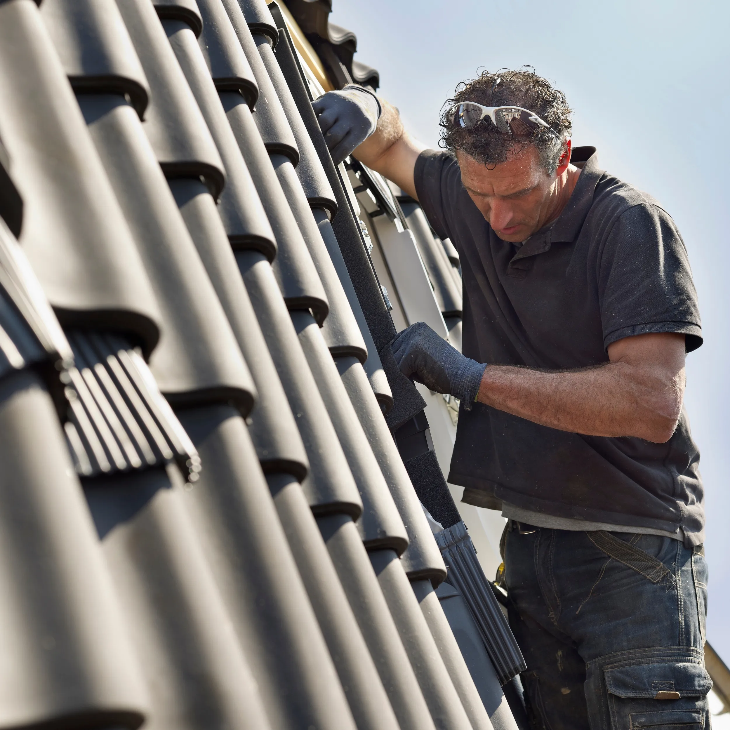 Rénovation lémanique